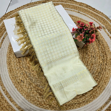 New Checked Foil Work Saree