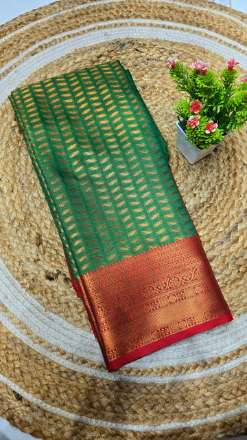 Expo Offer Saree