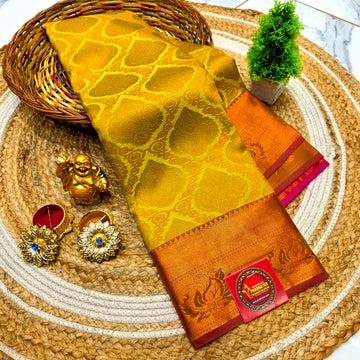 Bridal AllSelf Saree